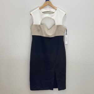 PLUS NWT Calvin Klein Color Block Sheath Dress